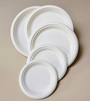 Bagasse Plates