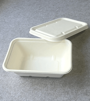 Bagasse Trays